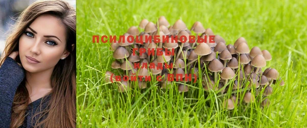 меф Баксан