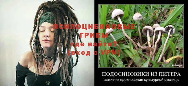 2c-b Липки