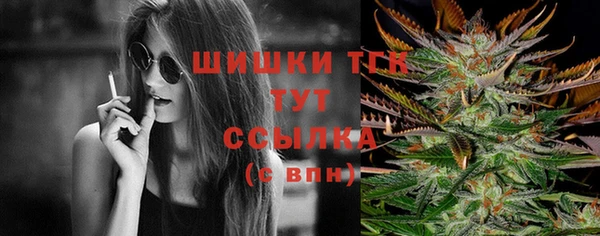 PSILOCYBIN Лысково